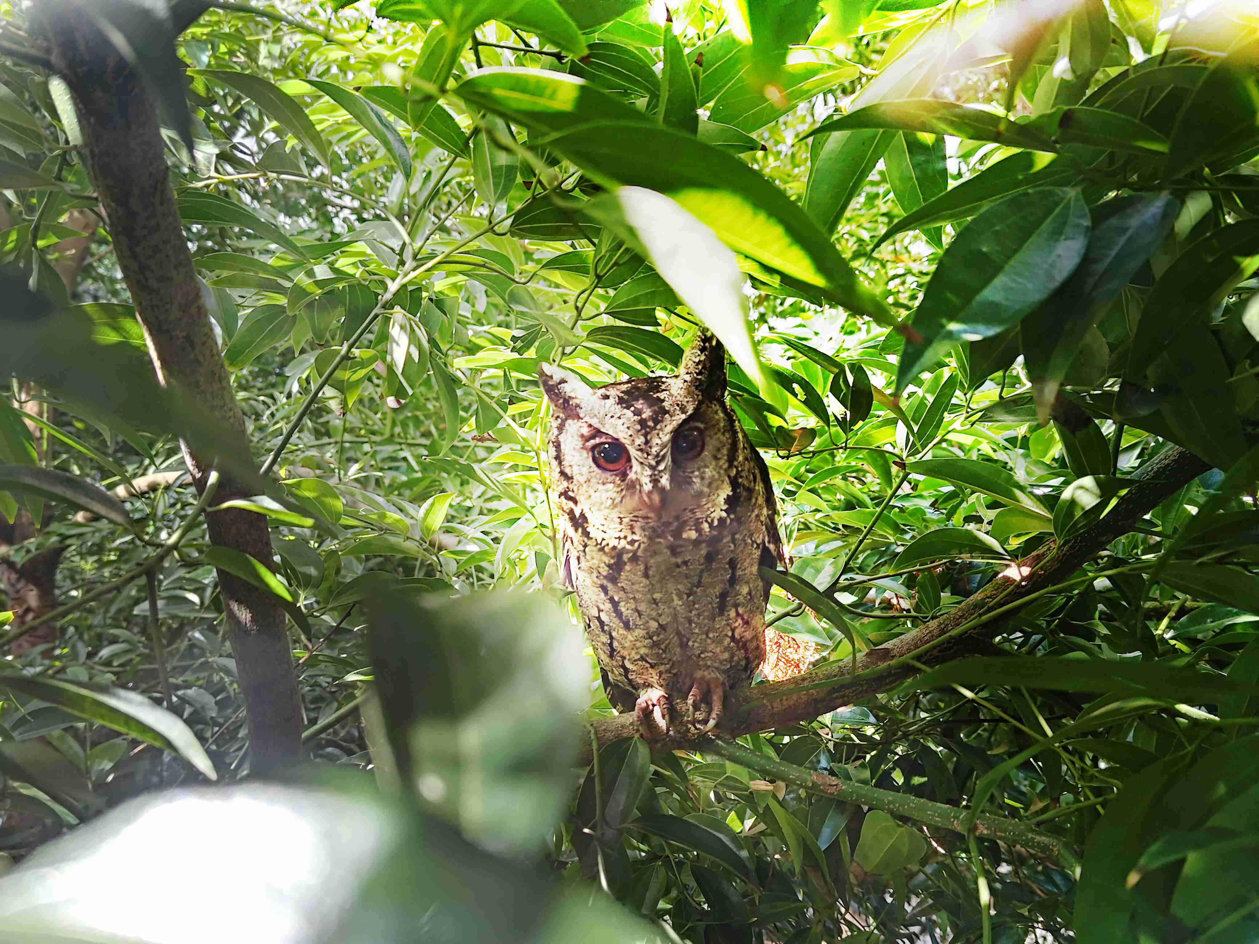 2121非凡致力提倡净零绿生活，，，16年以来在全球各厂区植树逾百万棵，，造就各厂区树木蔚然成林，，，，犹如森林工厂，，，成为许多生物的栖息地